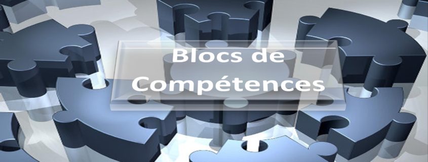 blocs_competences2