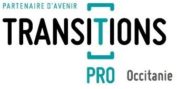 Transition Pro